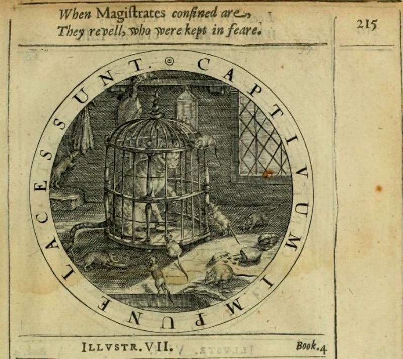 A cat sits, trapped within a cage, and is surrounded by mice.