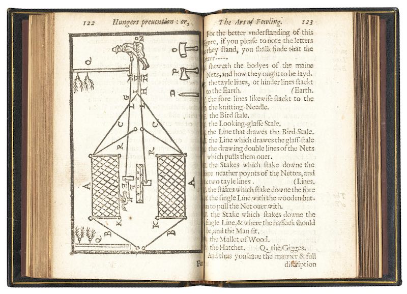 An opening of a book with a diagram and instructions on lark hunting.