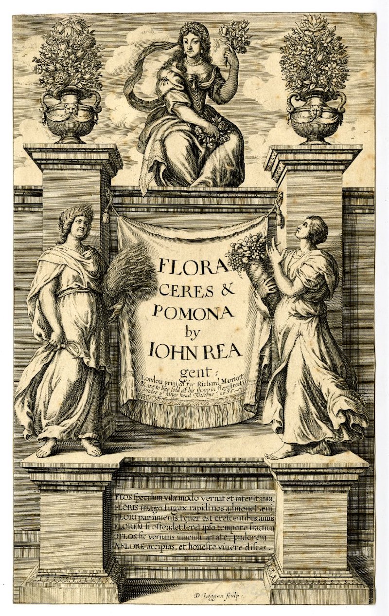 Between two tall vases, Flora, holding a bouquet, sits atop a wall, while Ceres and Pomona stand below on either side of a banner featuring their names.