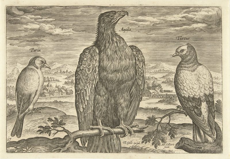 Three types of bird perch in the foreground with a wild landscape behind.